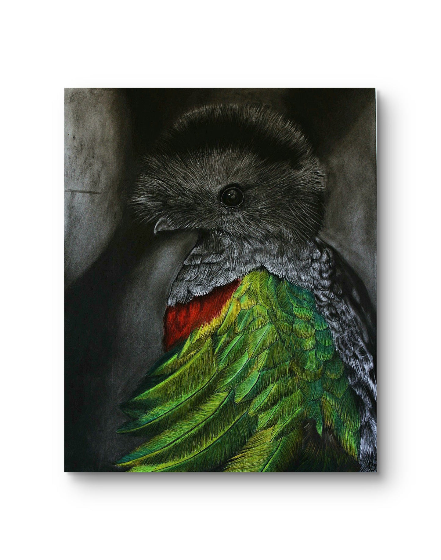 Quetzal