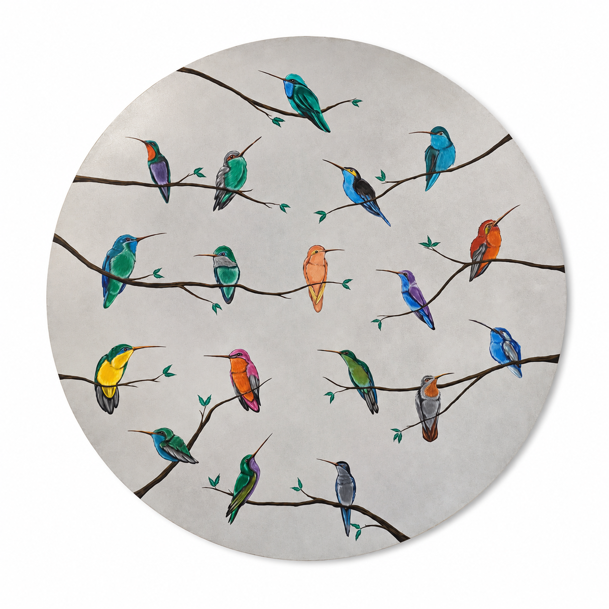 Colibrís Redondo
