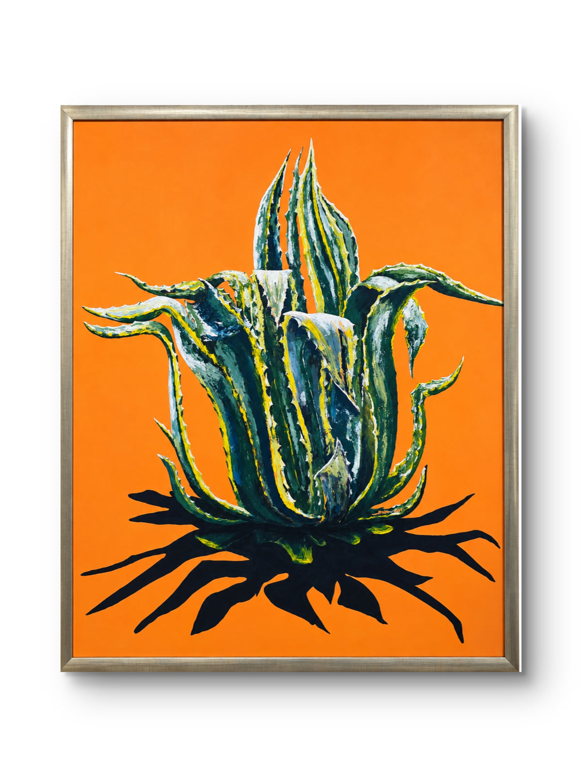 Maguey Pinto