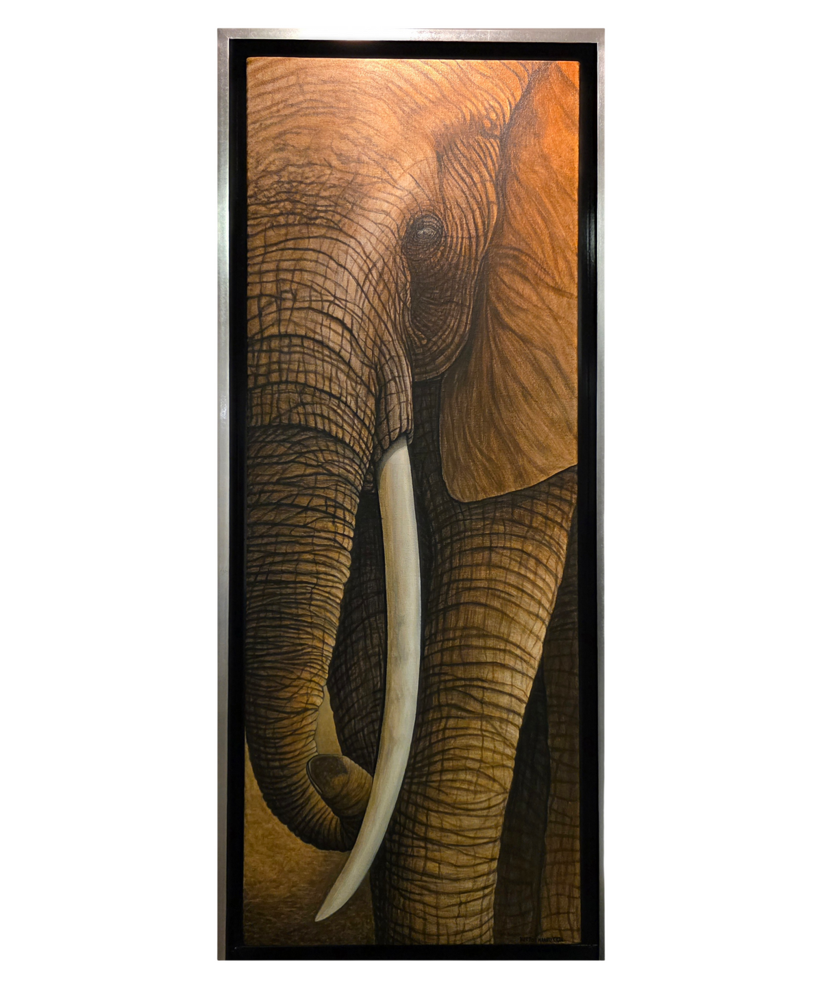 Elefante