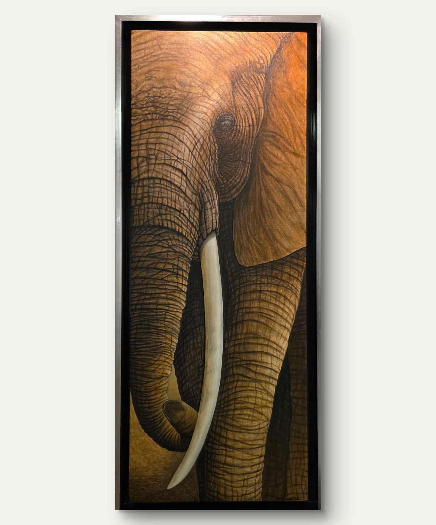 Elefante