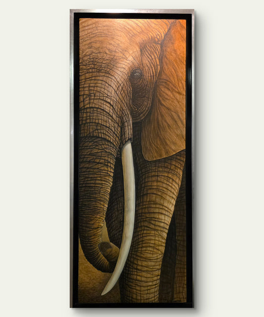 Elefante